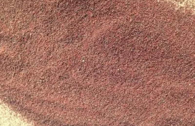 1730616325165703.jpg 2.jpg